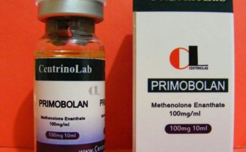 Примоболан (ацетат метенолона) — то, что вы должны знать