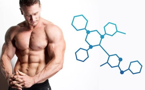 Гормоны роста и стероидные циклы